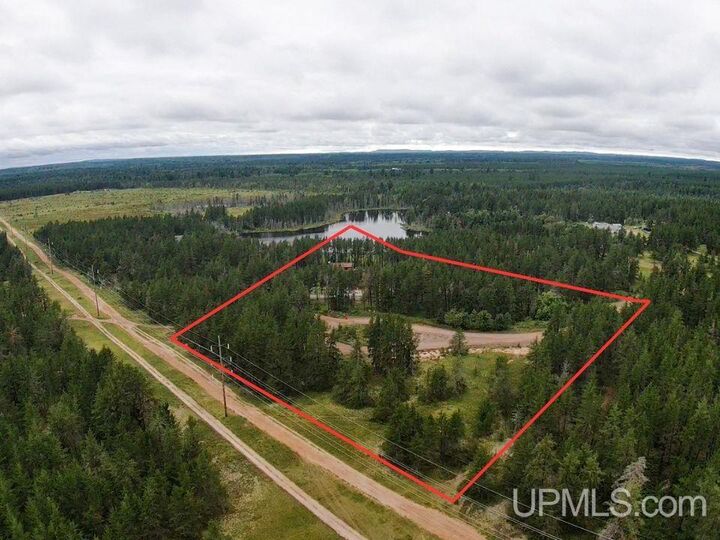 Property Photo: 250 Swanzy Lake Road MI 49841
