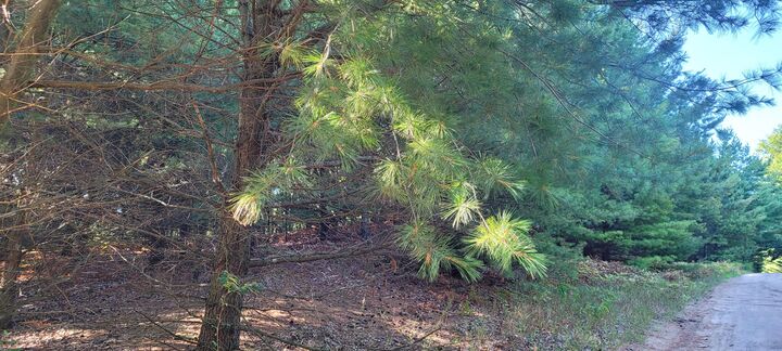 Property Photo: N Juniper Street MI 49436