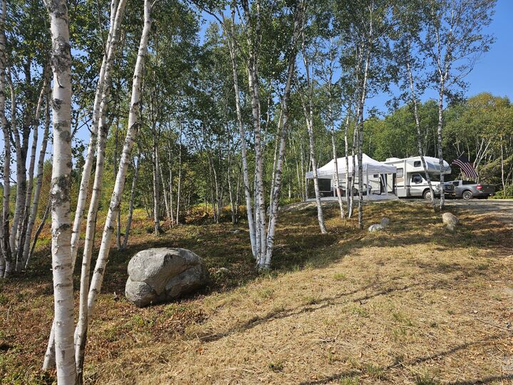 Property Photo: 57 Englishman Bay Road ME 04649