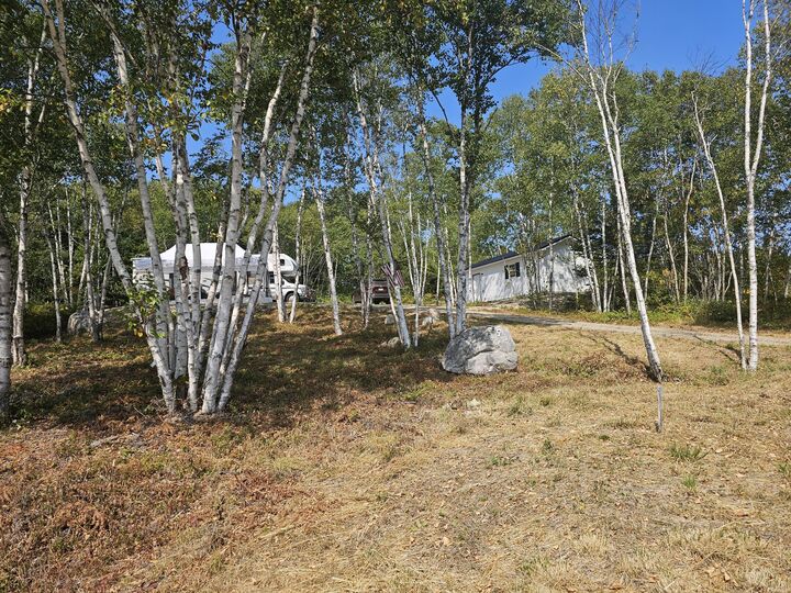 Property Photo: 57 Englishman Bay Road ME 04649