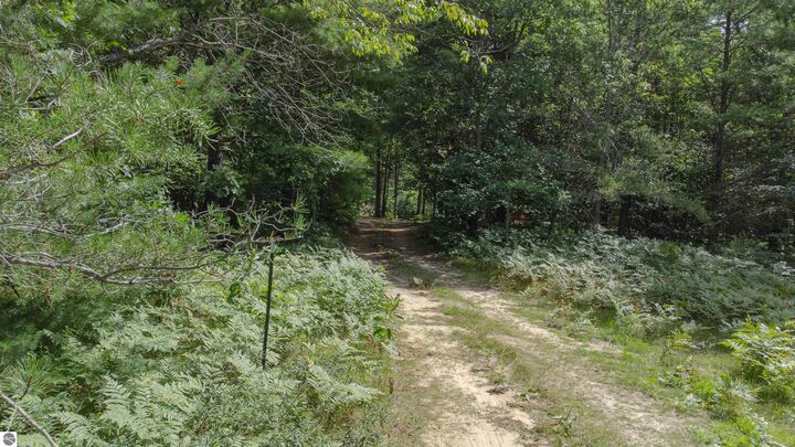 Parcel F Vans Lane  Fife Lake MI 49633 photo