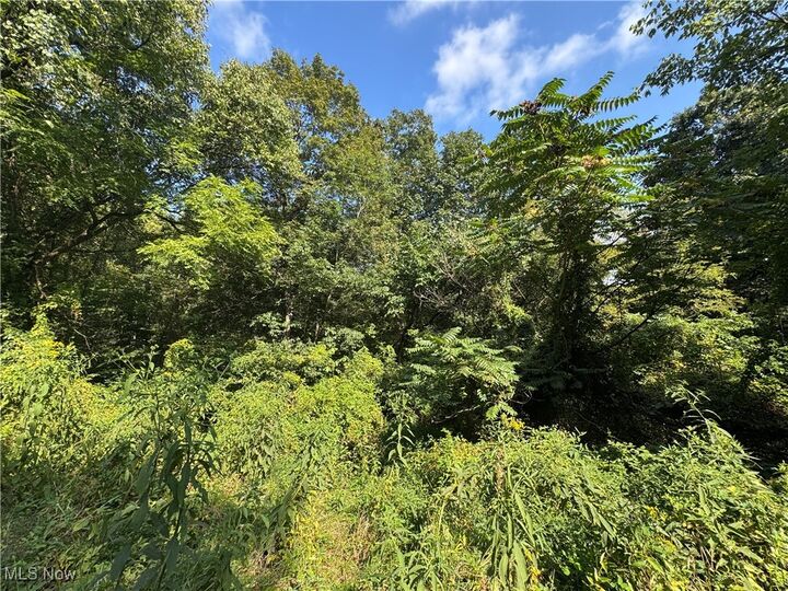 Property Photo:  Putnam Drive  OH 45772 