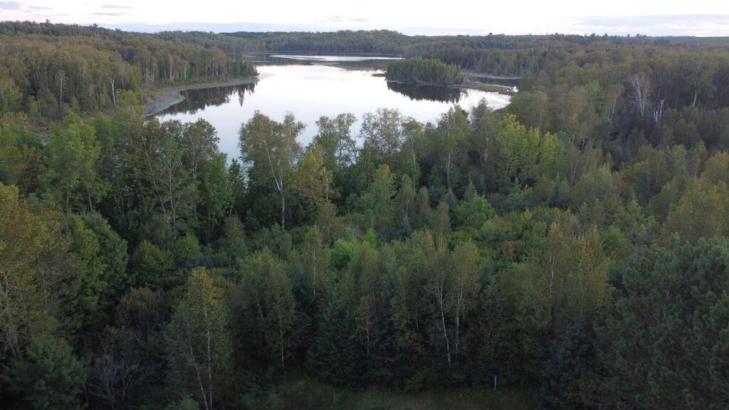 Property Photo:  Parcel B E Gunn Lake Trail  MN 56657 