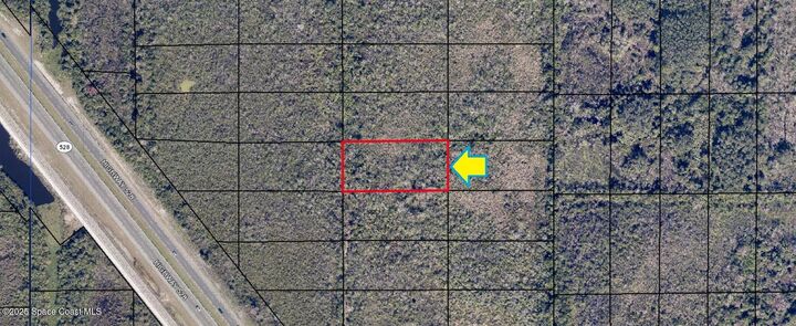 Property Photo: 00000 No Access East Of Fl-528 FL 32926