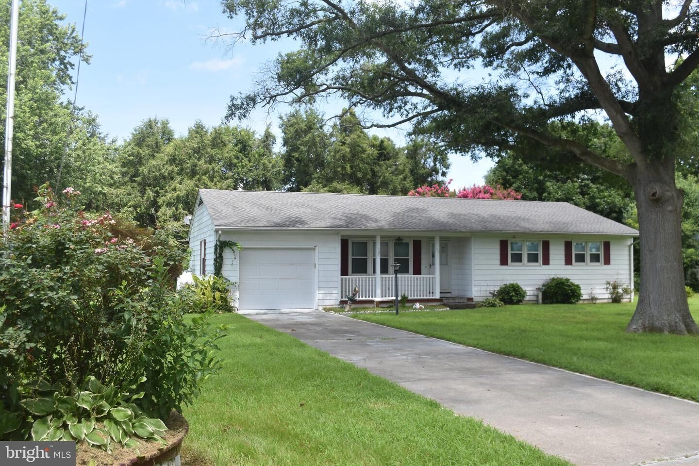 Property Photo: 111 Irons Avenue DE 19966