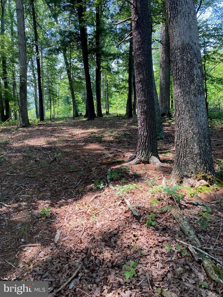 Property Photo: Croston North River Road N WV 26817