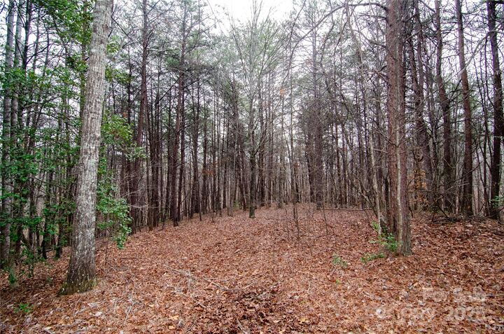 Property Photo:  0 Rainbow Rapids Road  NC 28139 