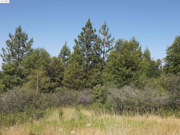 19290 Yosemite Springs Rd  Groveland CA 95321 photo