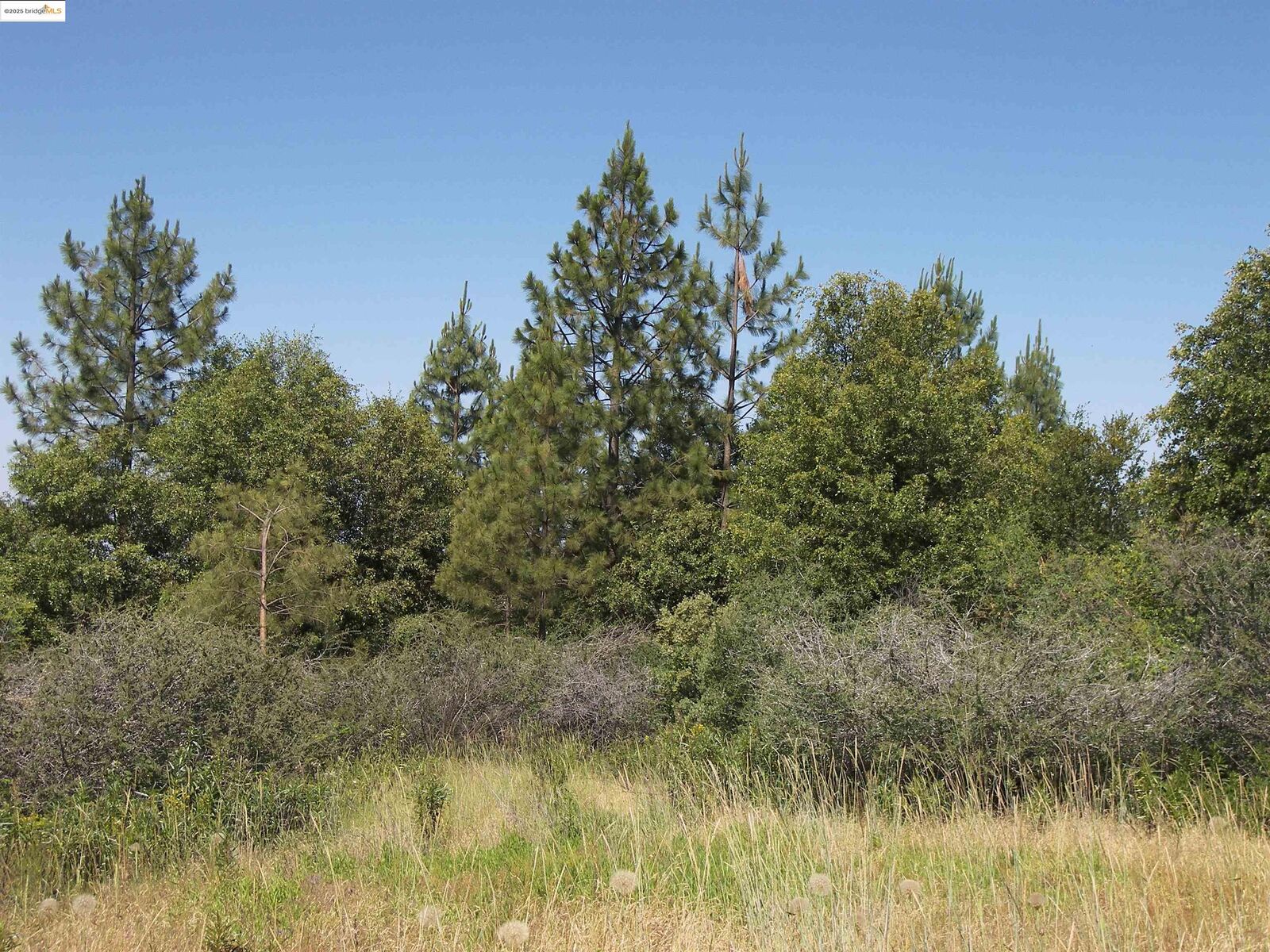 Property Photo: 19290 Yosemite Springs Rd CA 95321