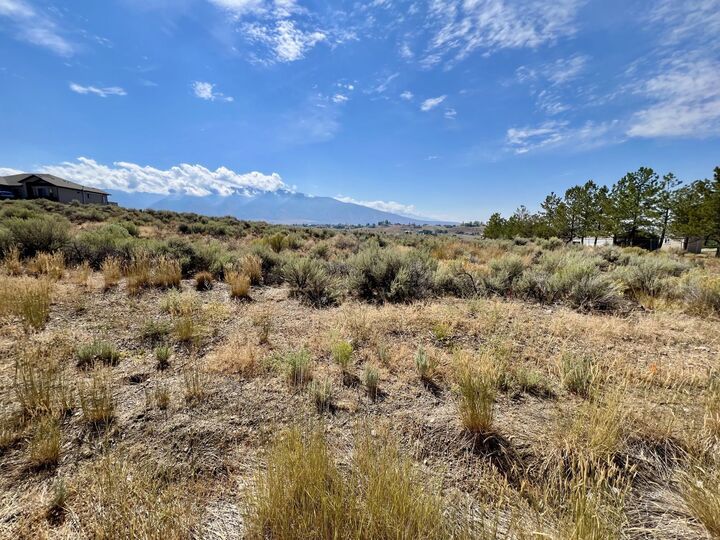 Property Photo:  472 Foxridge Drive  NV 89815 
