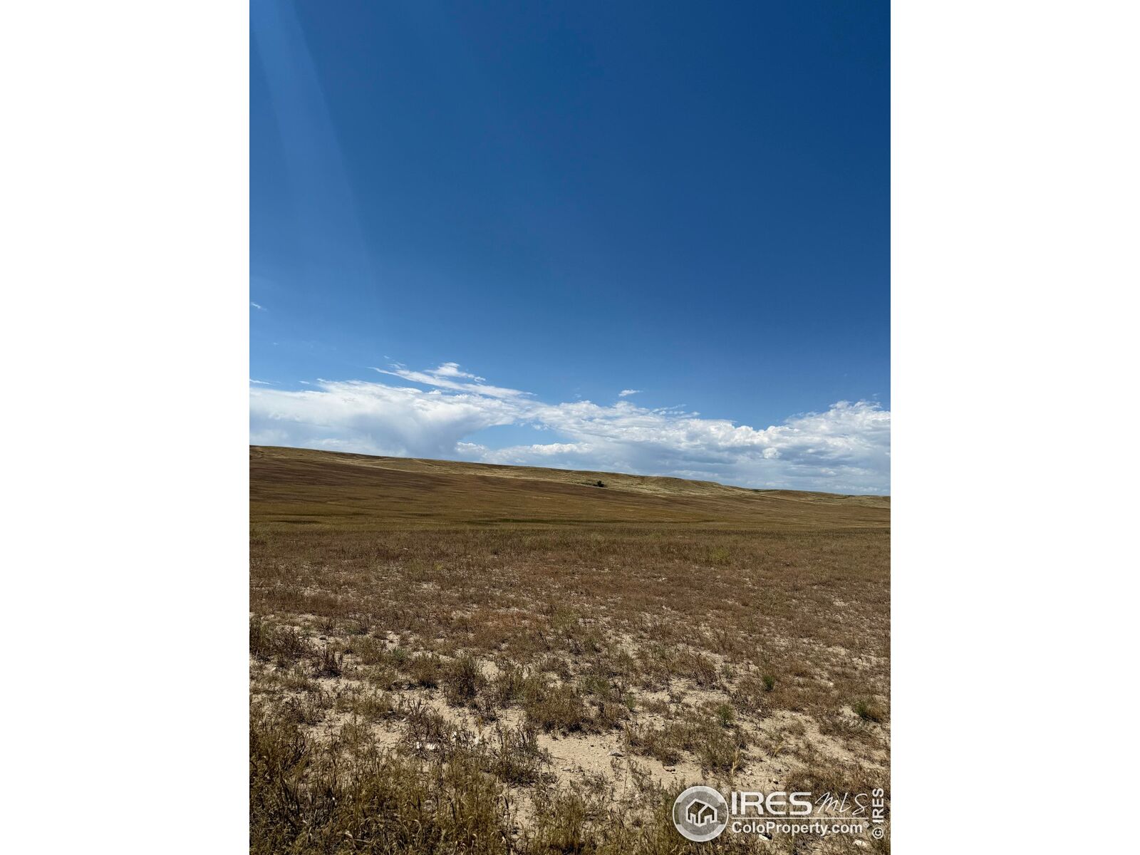 Property Photo:  5 County Road 15  CO 80612 