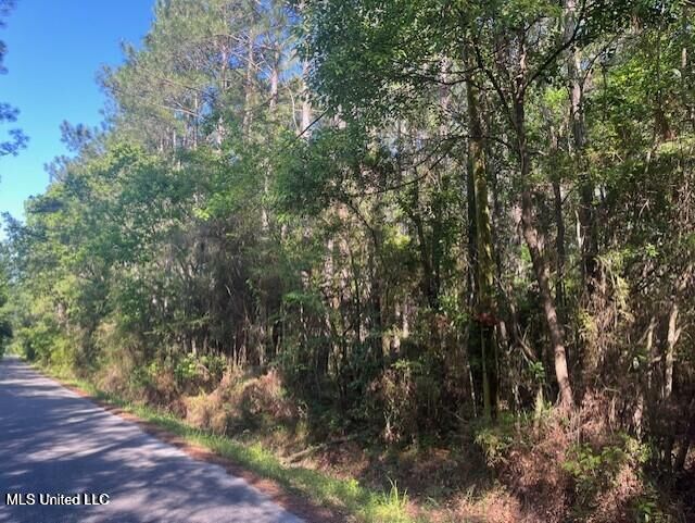 Property Photo:  0 Martin Young Road Road  MS 39562 