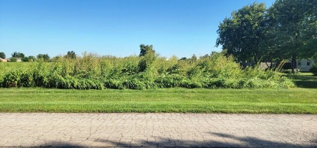 Property Photo:  Lot #9 Lot #9  IL 60940 