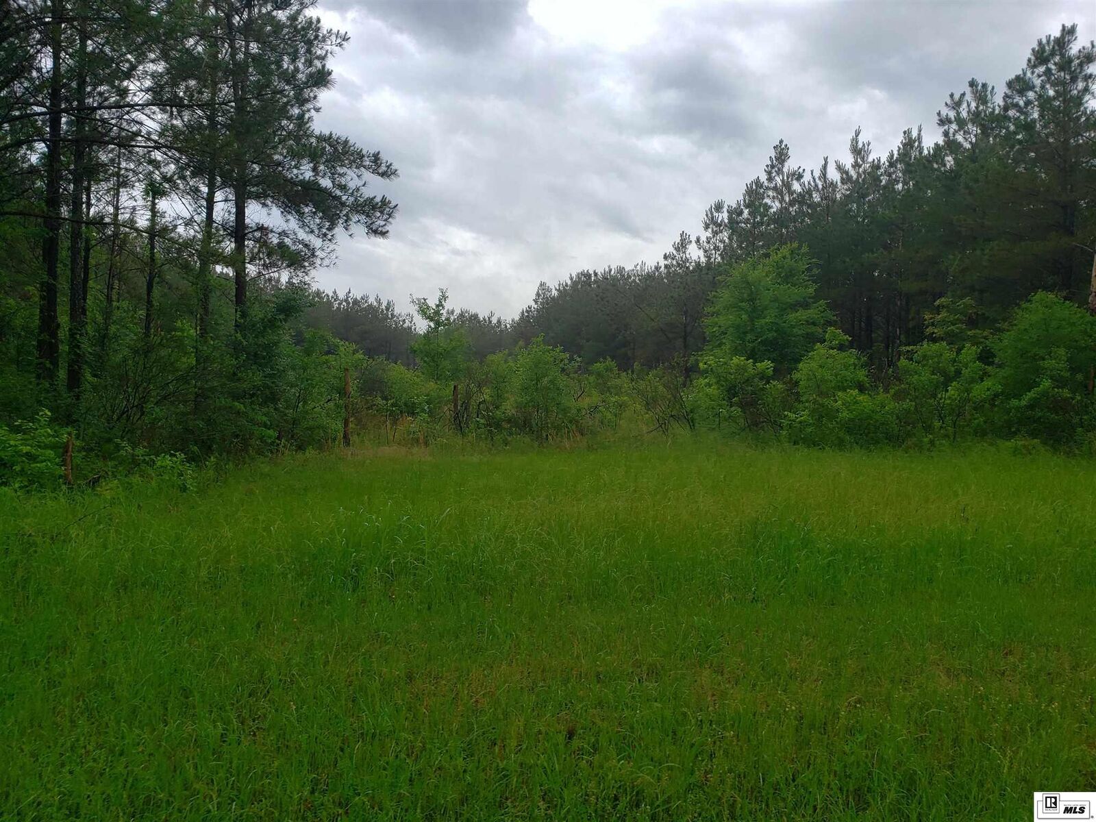 Property Photo:  Tract 40 Whitehall Road  LA 71259 