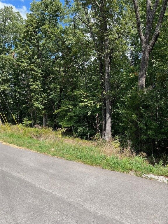 Property Photo: 34 Bassingham Drive AR 72715