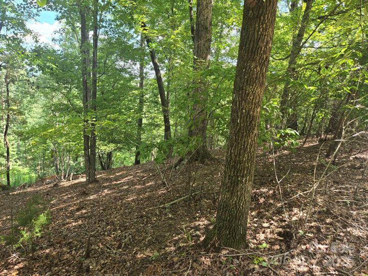 Property Photo: Lot 34 Hawks Nest Trail NC 28746