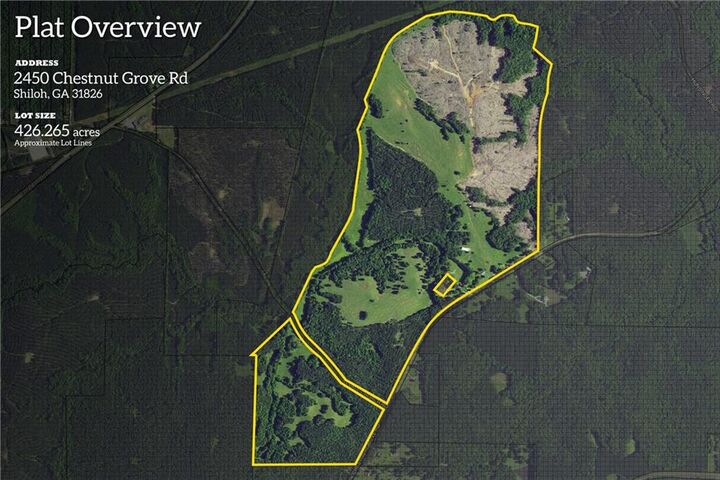 2450 Chestnut Grove Road  Shiloh GA 31826 photo