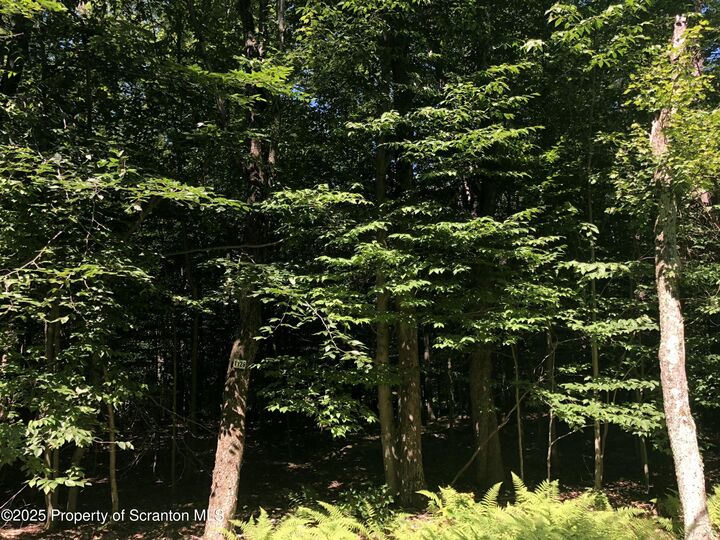H-1128 E Creek View Drive  Clifton Twp PA 18424 photo