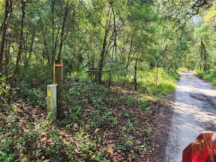Property Photo:  11921 SE 138th Terrace  FL 32179 