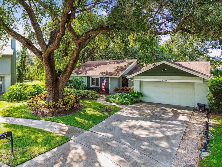 Property Photo:  4703 Freshwind Avenue  FL 33624 