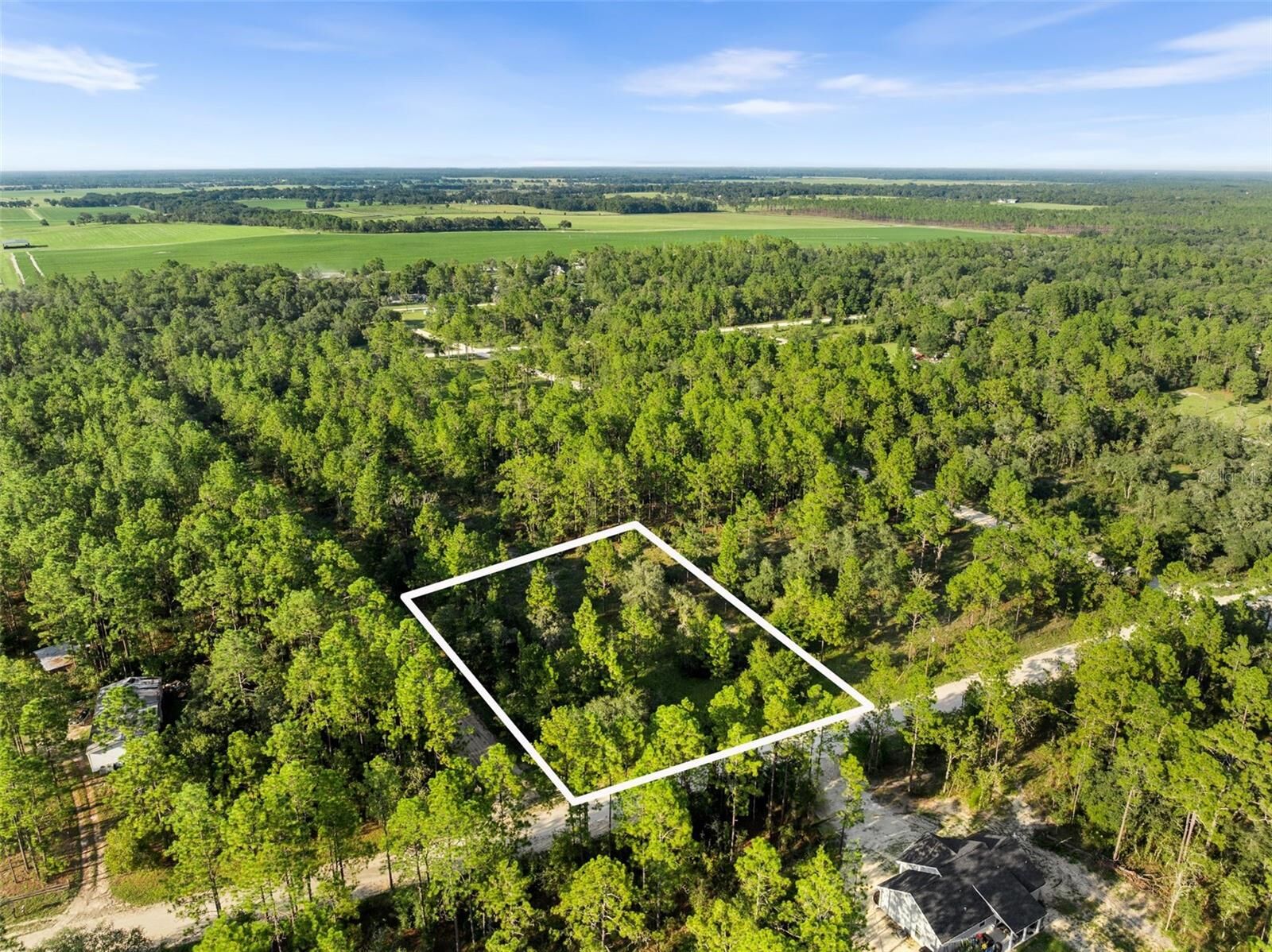 Property Photo: None FL 32696