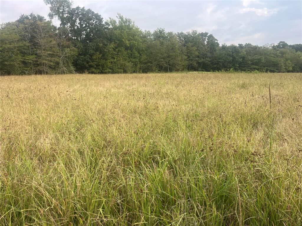 Property Photo:  Cr 2353 Cr 2353  TX 75412 