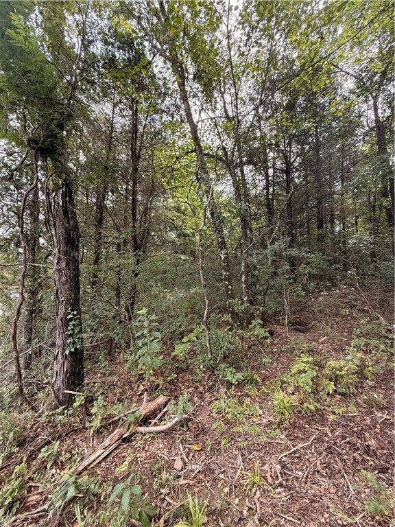 Property Photo: Thunderbird Drive AR 72631