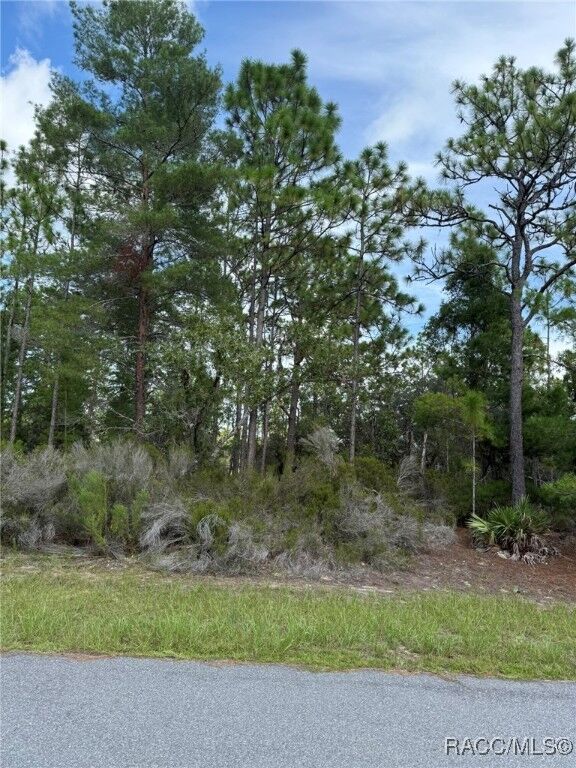 Property Photo: 11127 N Trigger Terrace FL 34433