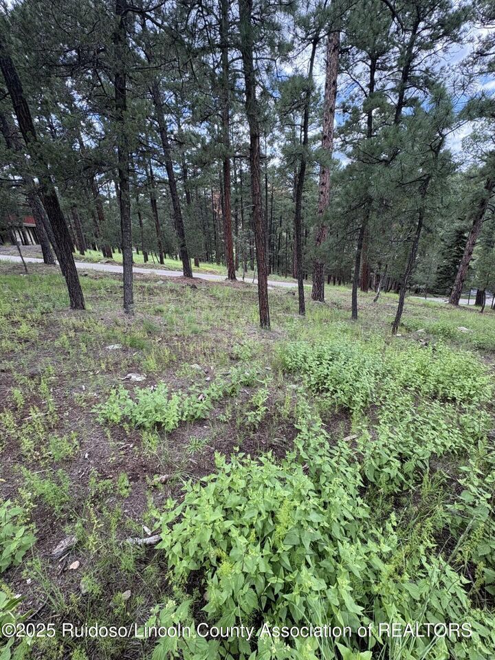 Property Photo:  Lot 2 Incredible Ln  NM 88312 