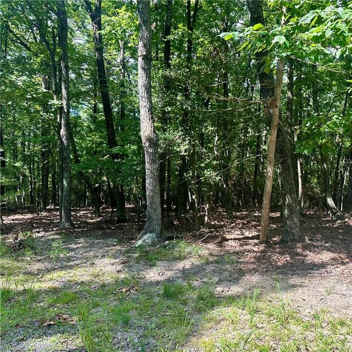 Property Photo: Lot 63 Grandview Circle NC 28685