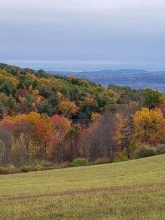 Property Photo:  900 Town Line Rd  NY 13790 