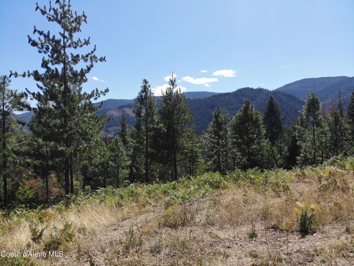 Property Photo: 905 Terror Gulch Rd ID 83849