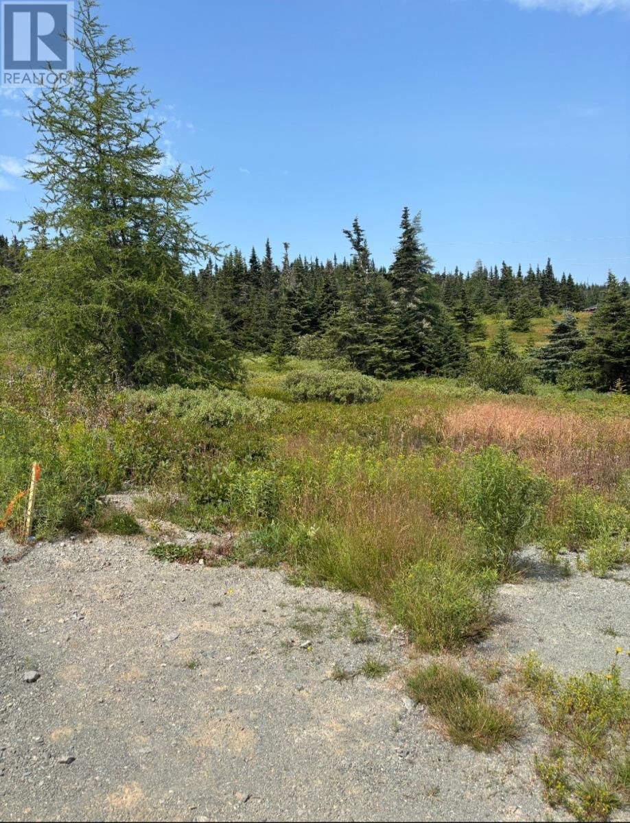 Property Photo:  17 Batson'S Road  NL A0C 2H0 