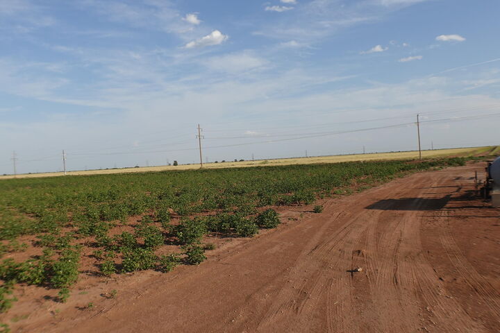 Property Photo:  0 Fm 597  TX 79311 