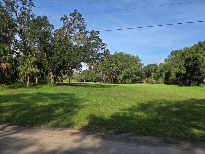 Crystal Lane  Umatilla FL 32784 photo