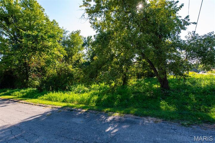 Property Photo: 1654 Missouri Avenue MO 63069