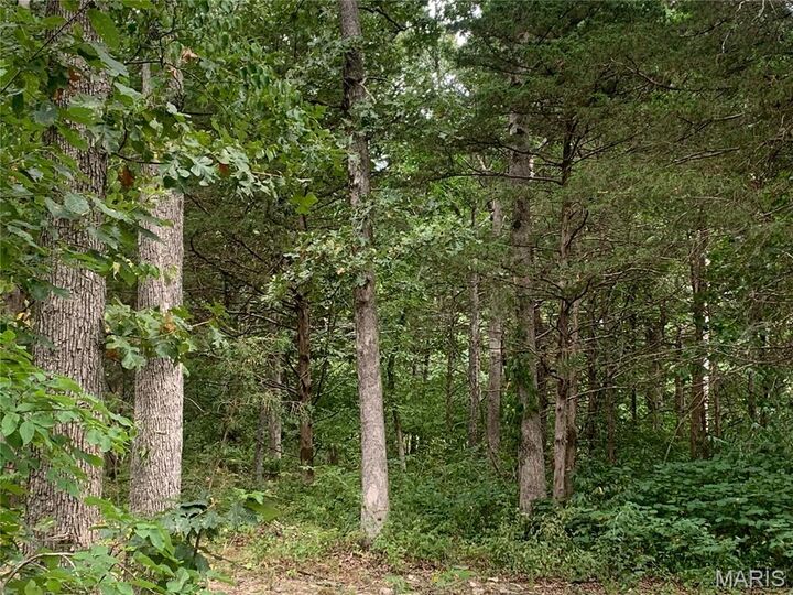 Property Photo: 000 Cedar Grove Lane MO 65401