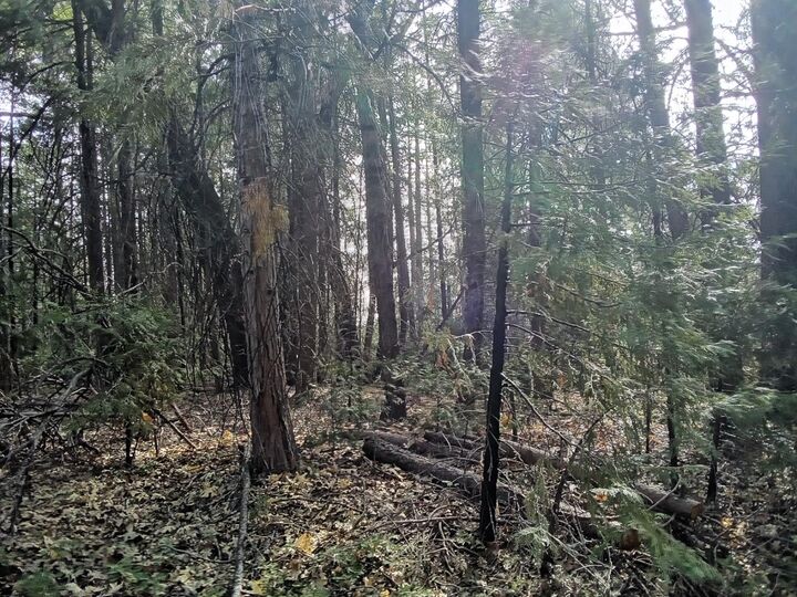 Property Photo:  0 3 Just Road  CA 95713 