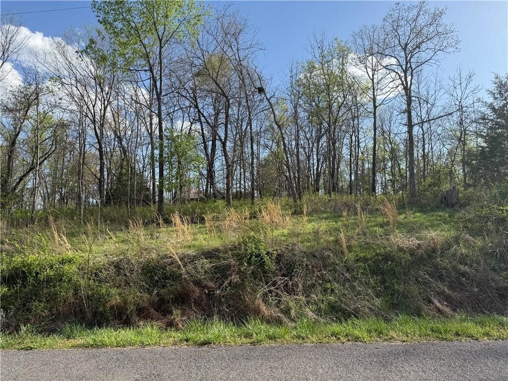 Property Photo: Lot 7 & 8 Dunkeld Drive AR 72715