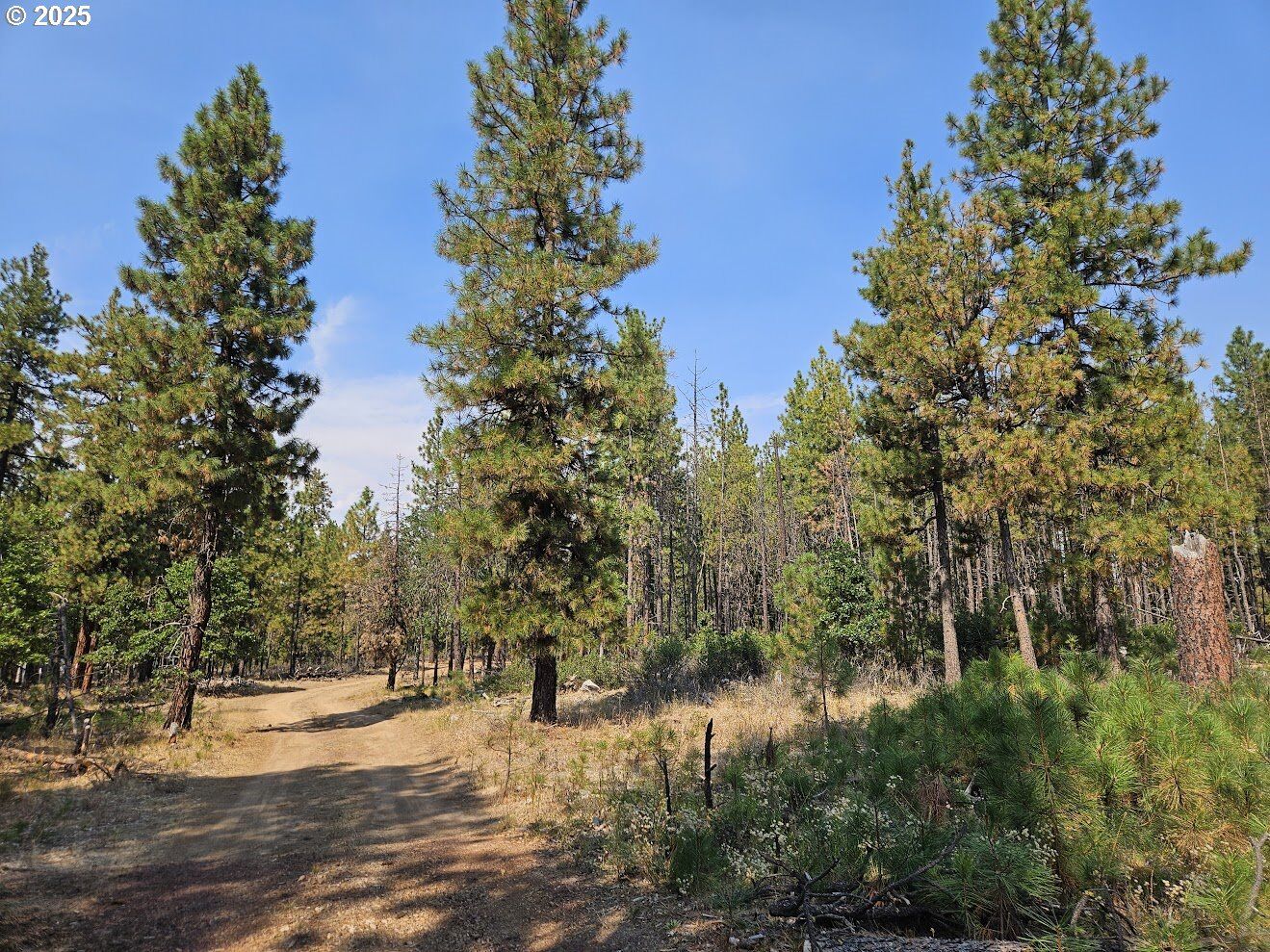 Property Photo: Hawks Wind Rd 1 WA 98620