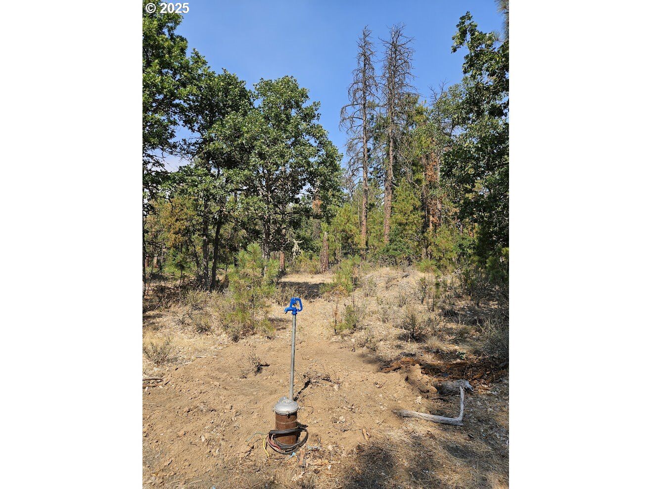 Property Photo: Hawks Wind Rd 1 WA 98620