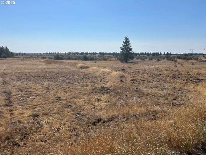 Blk 27 26bickleton Hwy  Roosevelt WA 99356 photo