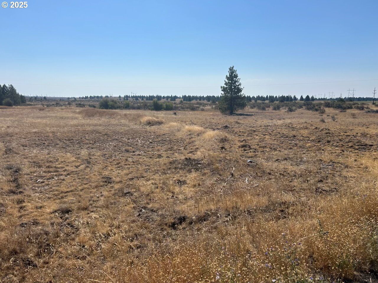 Property Photo: Blk 27 26bickleton Hwy WA 99356