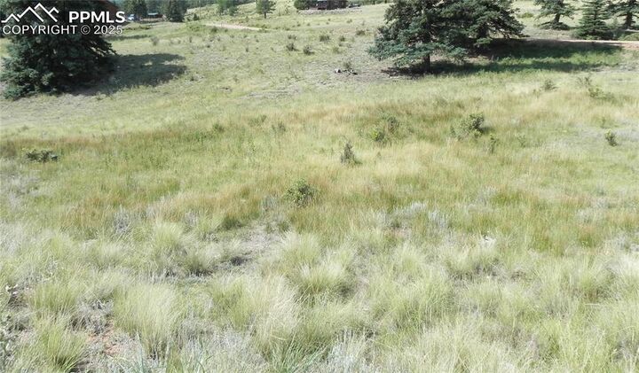 Property Photo:  53 Nickel Plate Road  CO 80813 