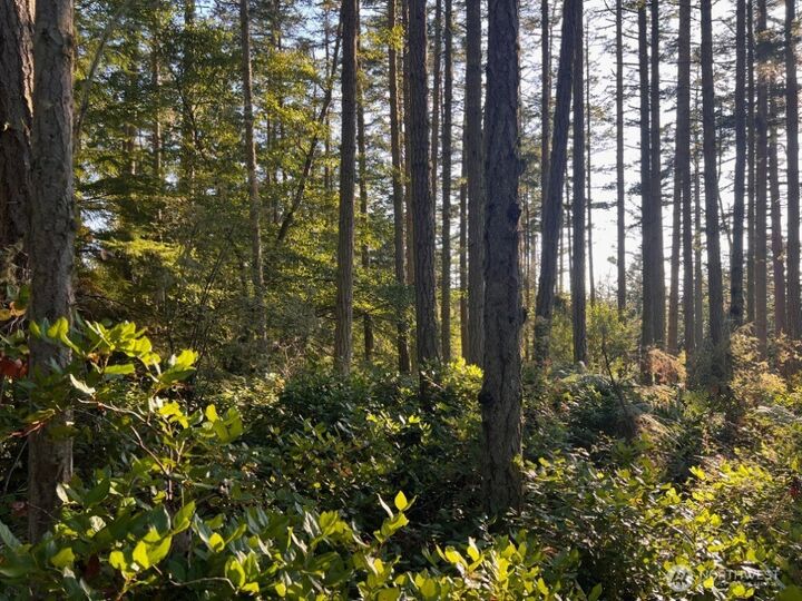 3 Lot  Pavey Boulevard  Lopez Island WA 98261 photo