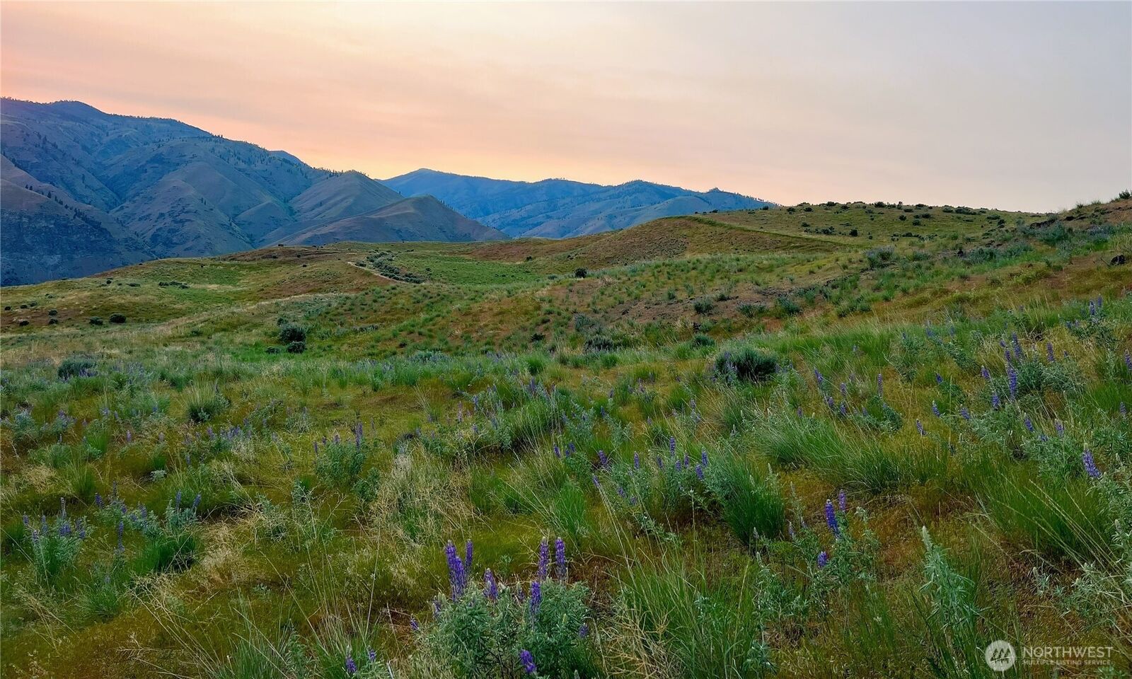 Property Photo: 6 Blue Grade Road WA 98802