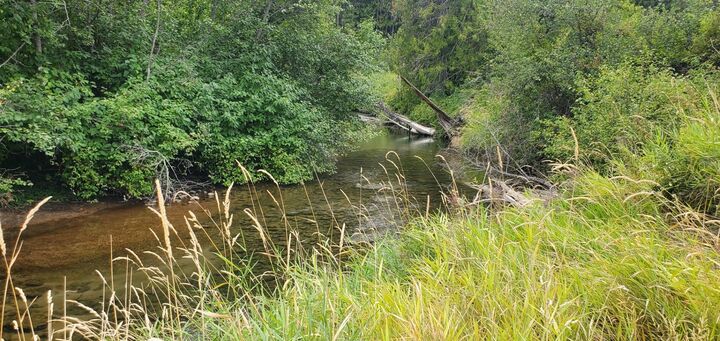 3159 Heather Ln  Colville WA 99114 photo