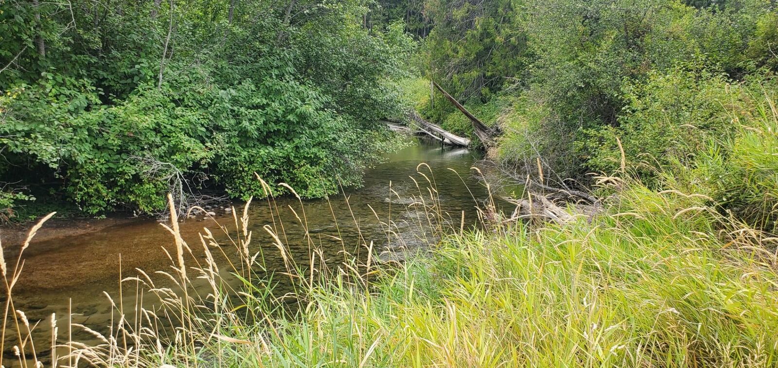 Property Photo:  3159 Heather Ln  WA 99114 