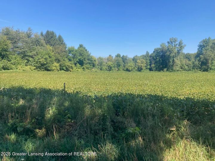 Property Photo:  000 W Huff Road  MI 48831 