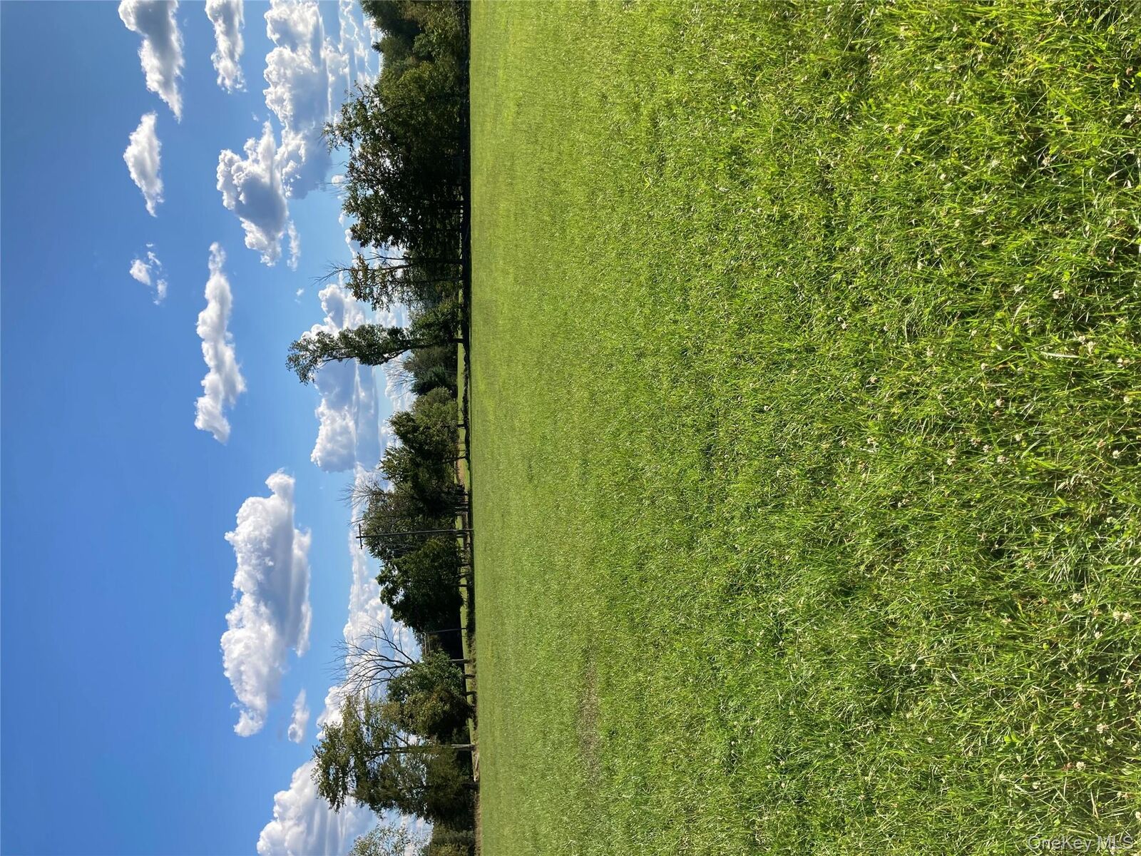 Property Photo: 156 Rose Road NY 12788